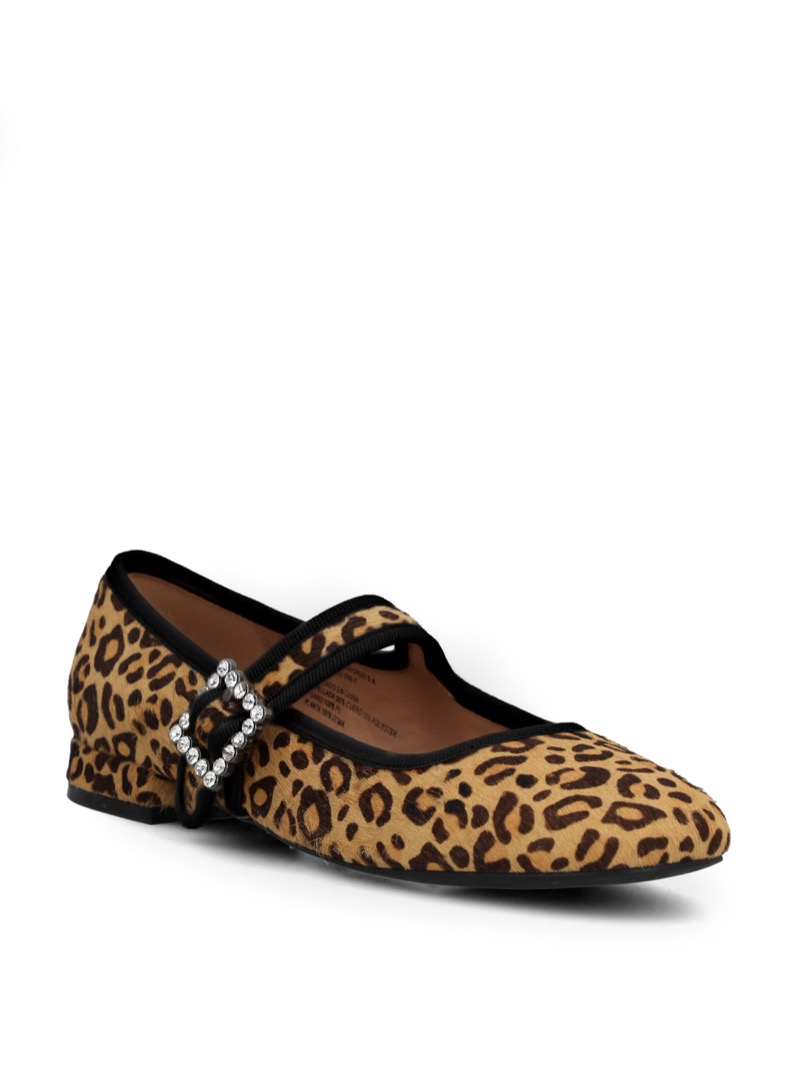 Zapato Trendy Mujer